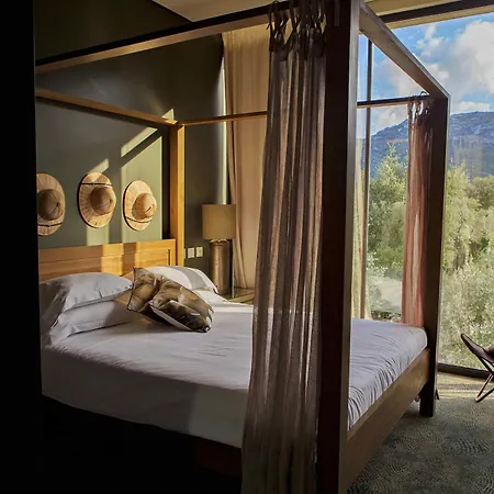 Hotel Cooking And Nature - Emotional