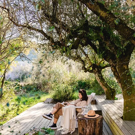 Cooking And Nature - Emotional Alvados