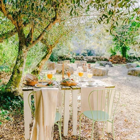 Cooking And Nature - Emotional Hotel