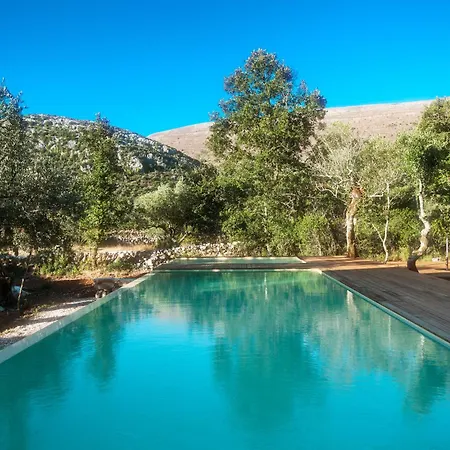 ホテル クッキング アンド ネイチャー エモーショナル アルヴァドス