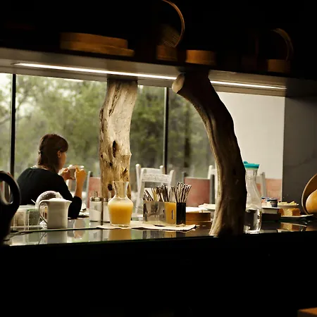 クッキング アンド ネイチャー エモーショナル ホテル