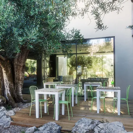 クッキング アンド ネイチャー エモーショナル 4* アルヴァドス