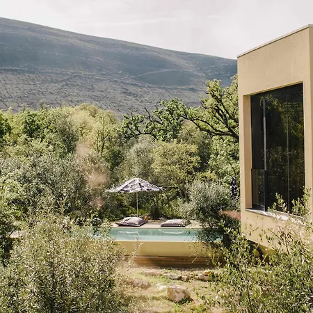 クッキング アンド ネイチャー エモーショナル ホテル アルヴァドス