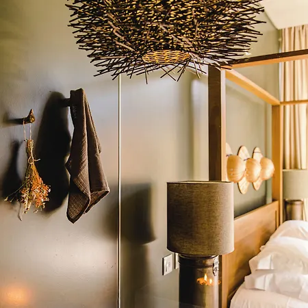 Cooking And Nature - Emotional Hotel