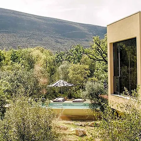Otel Cooking And Nature - Emotional