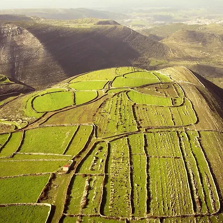クッキング アンド ネイチャー エモーショナル 4* アルヴァドス