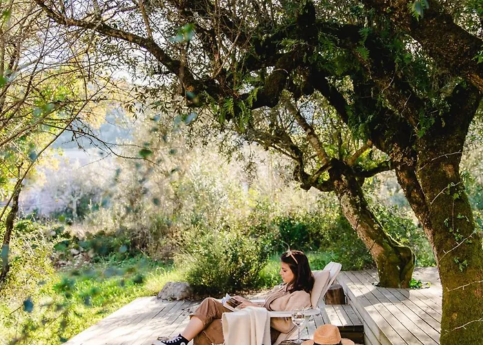 Cooking And Nature - Emotional Alvados