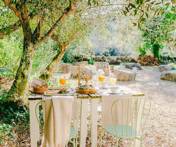 Cooking And Nature - Emotional Hotel