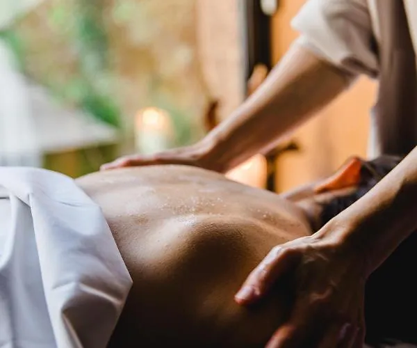 Cooking And Nature - Emotional Hotel Alvados