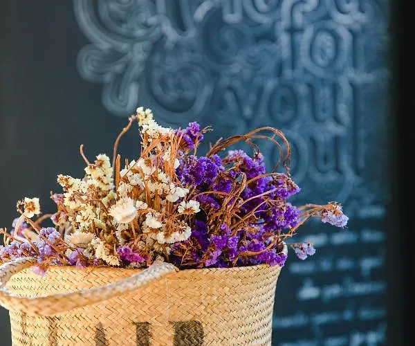 Cooking And Nature - Emotional Alvados