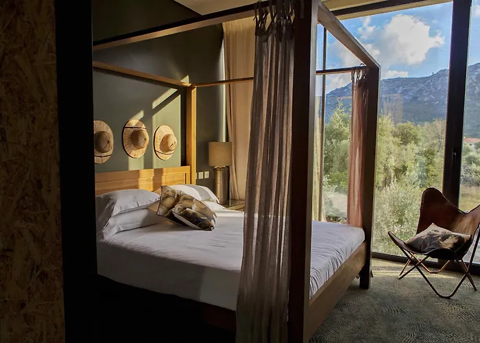 Hotel Cooking And Nature - Emotional