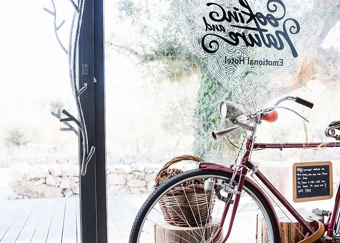 Cooking And Nature - Emotional Alvados