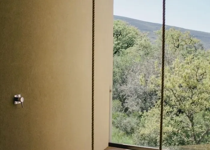 Cooking And Nature - Emotional Alvados