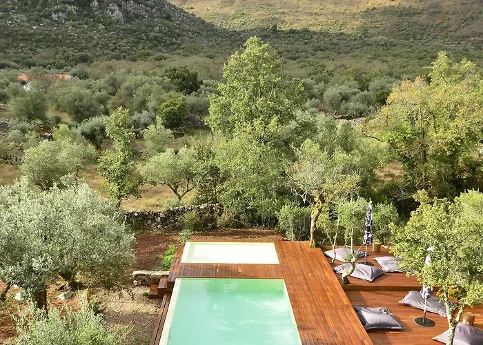 Cooking And Nature - Emotional Hotell