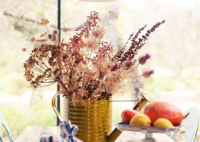 Cooking And Nature - Emotional 4*