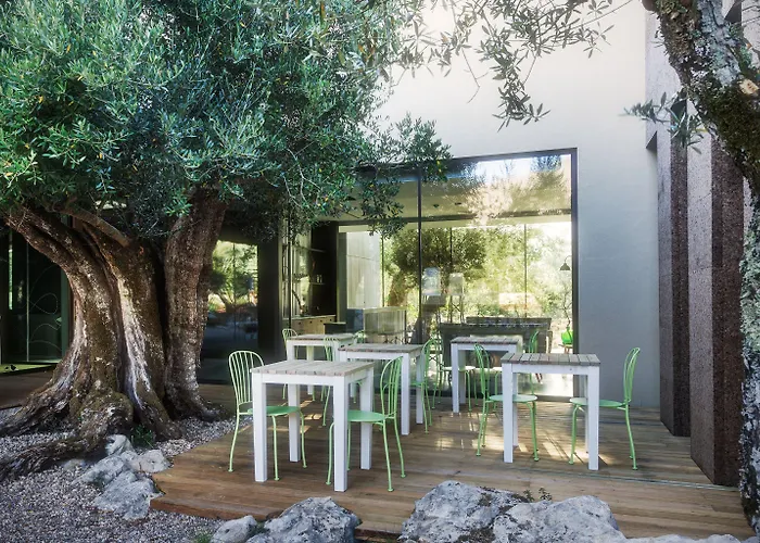 Cooking And Nature - Emotional 4* Alvados