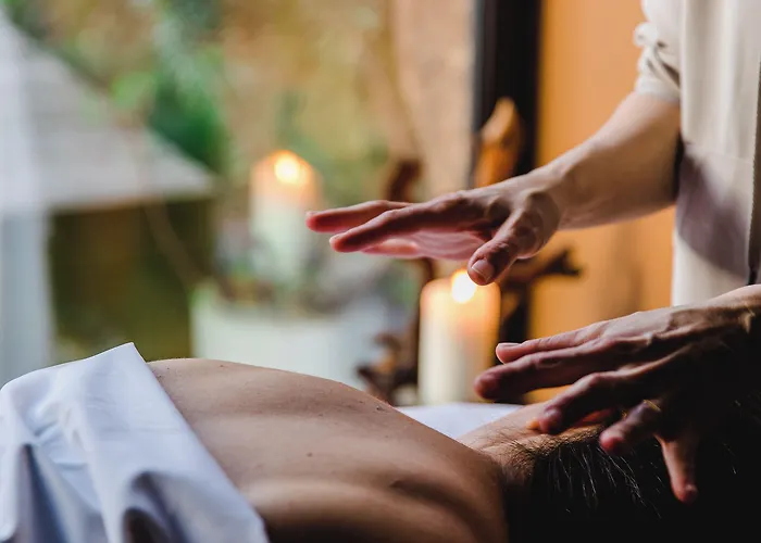 Cooking And Nature - Emotional Alvados