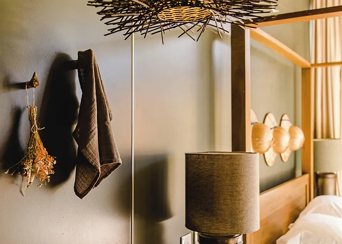 Cooking And Nature - Emotional Hotel