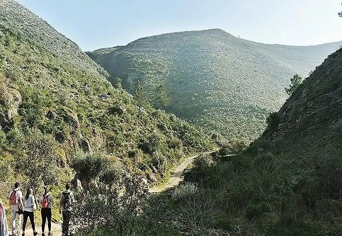 Cooking And Nature - Emotional 4*